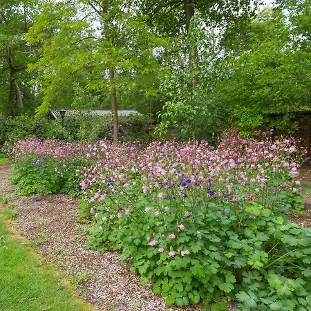 B&B Schipborg-3